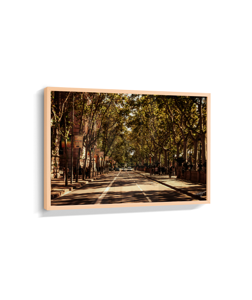 Boulevard Echoes