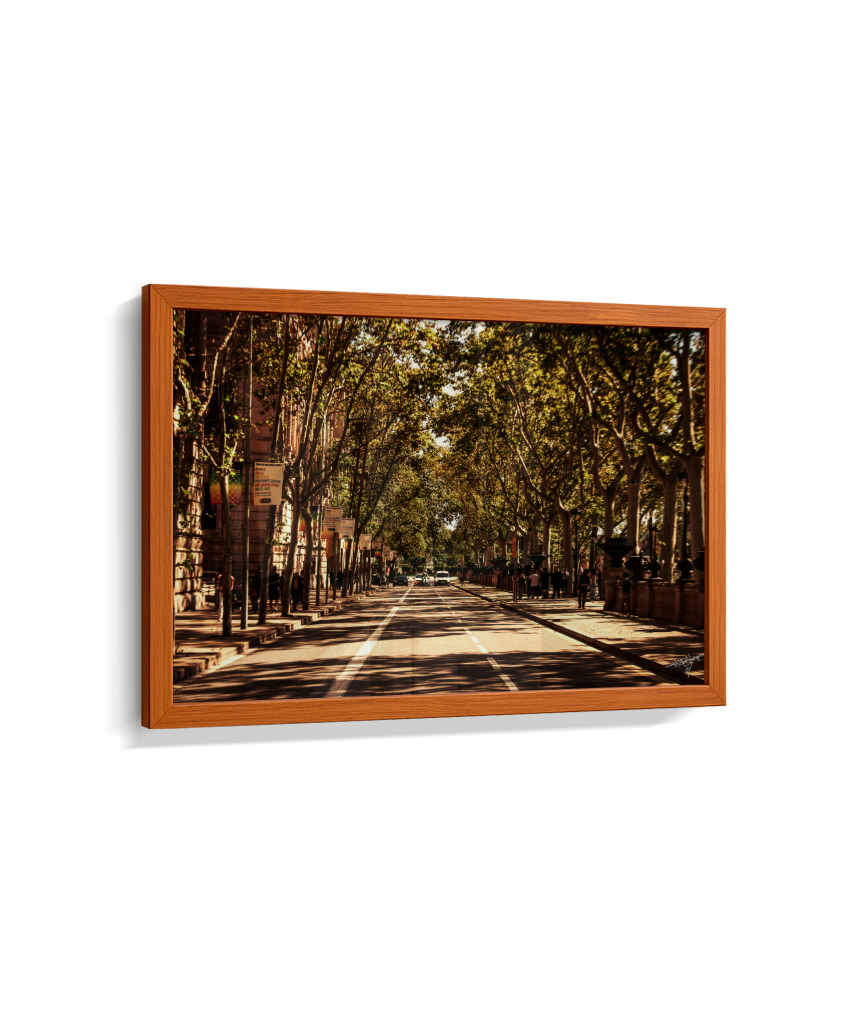 Boulevard Echoes
