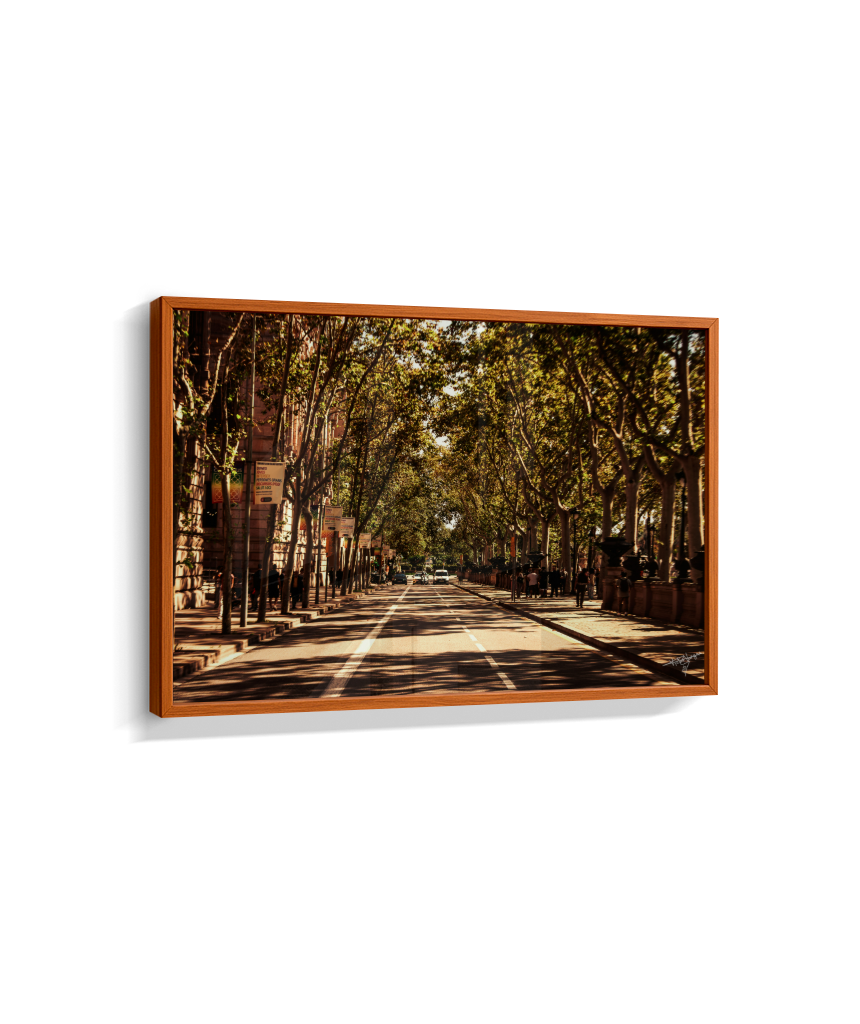 Boulevard Echoes