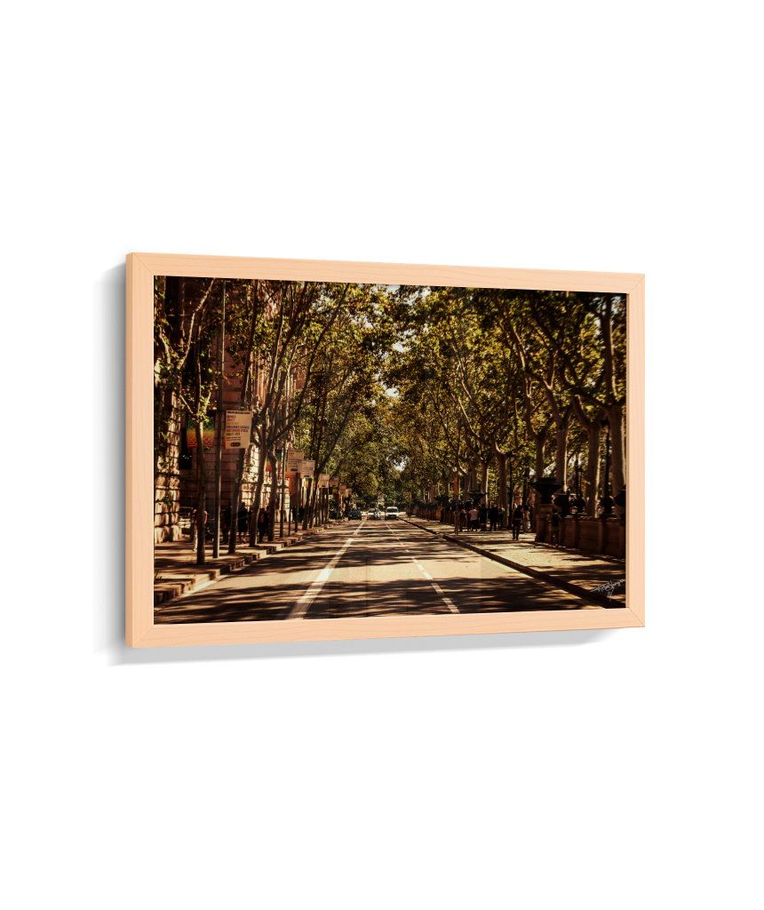Boulevard Echoes