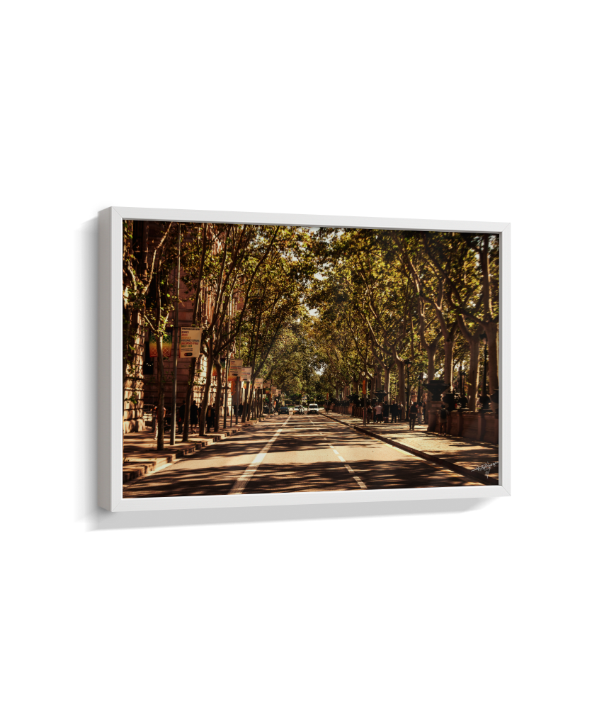 Boulevard Echoes