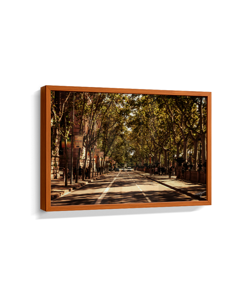 Boulevard Echoes