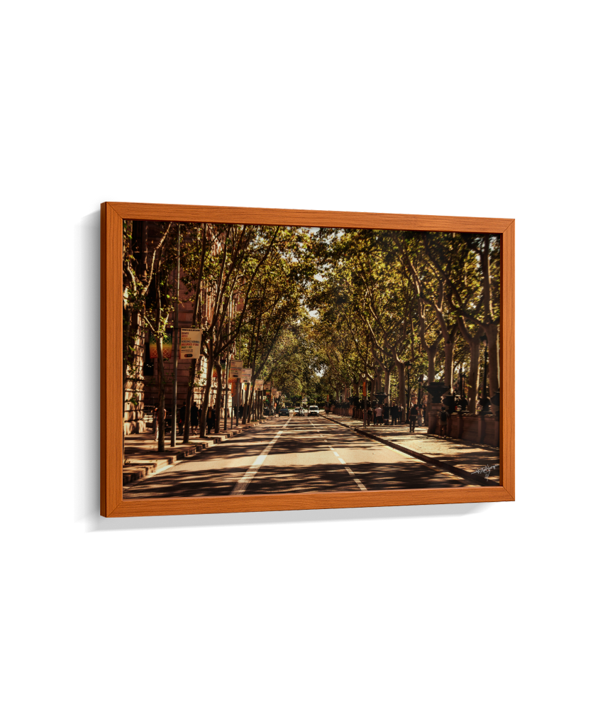 Boulevard Echoes