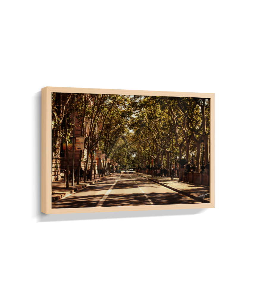 Boulevard Echoes