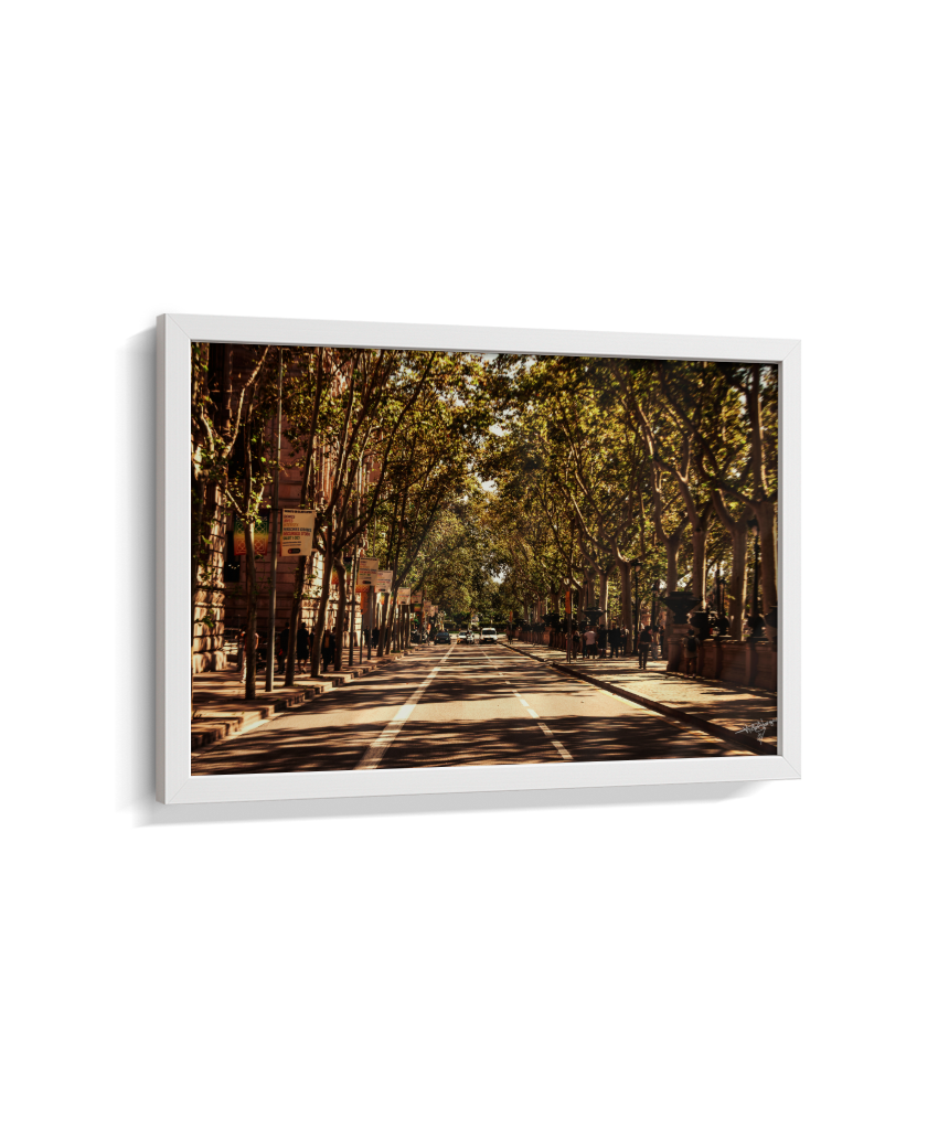 Boulevard Echoes