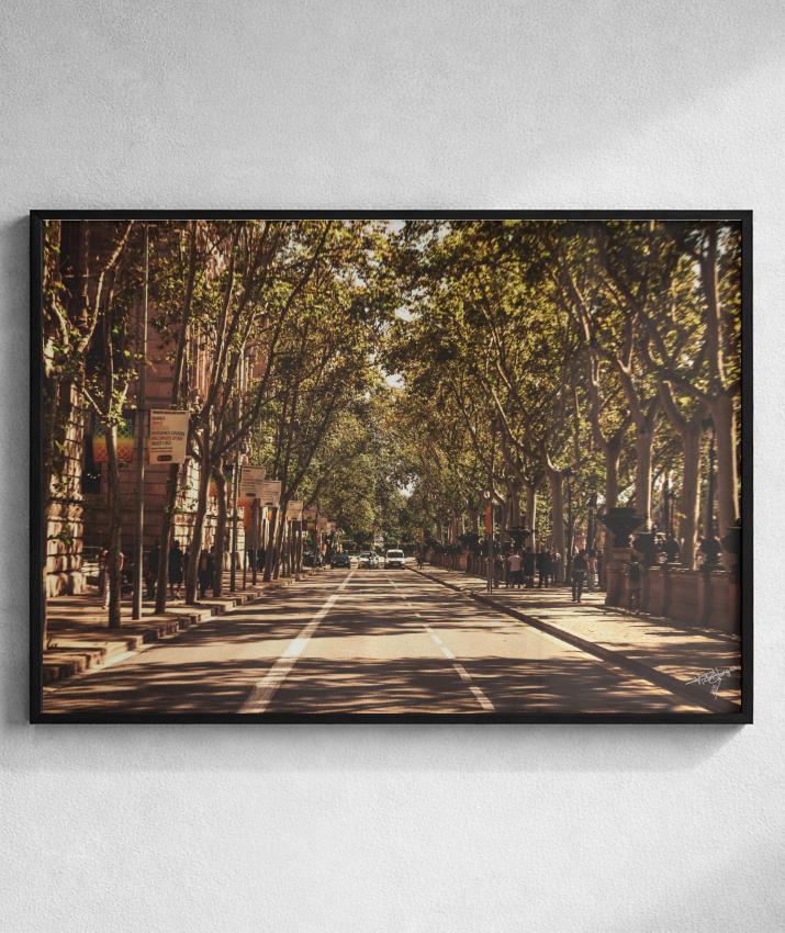 Boulevard Echoes