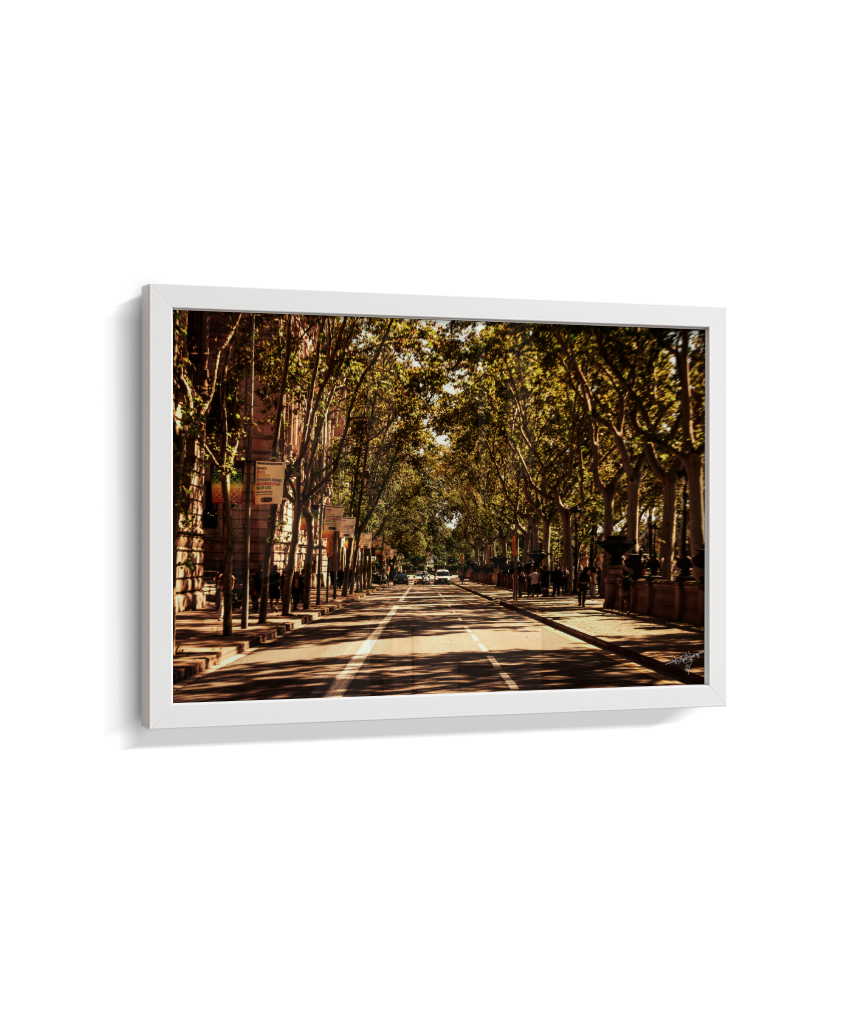 Boulevard Echoes
