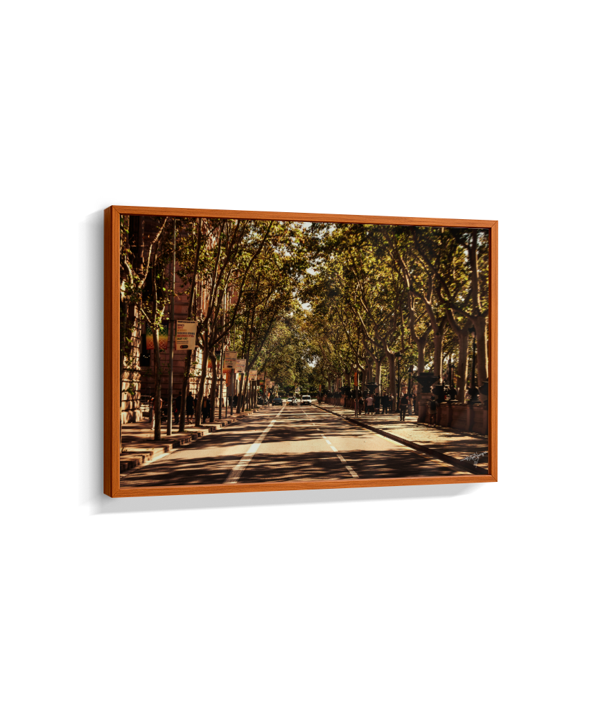 Boulevard Echoes