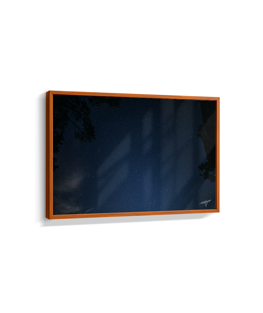 A Window Without Walls