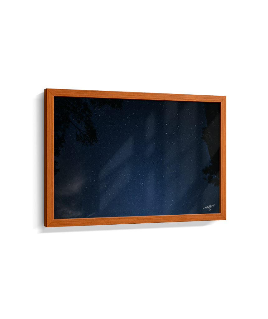 A Window Without Walls