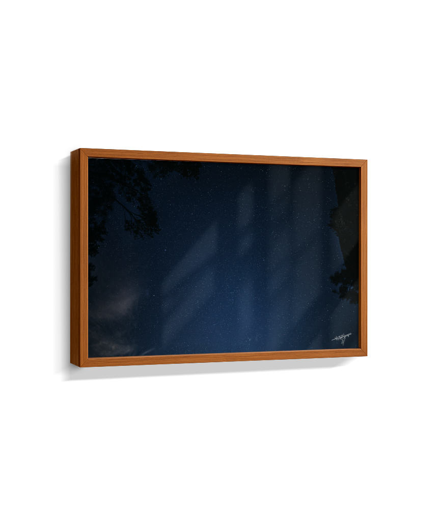 A Window Without Walls