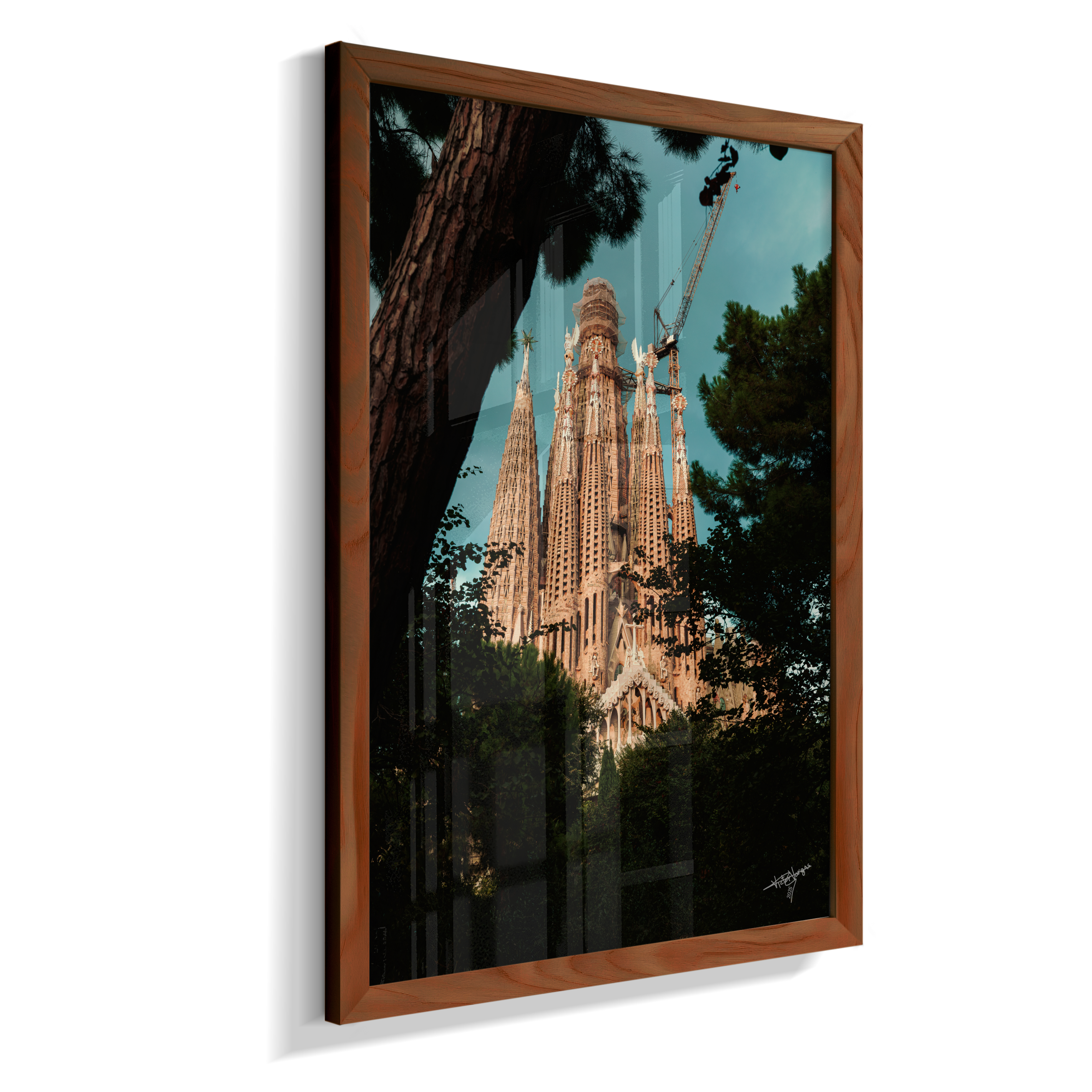 Through the Pines