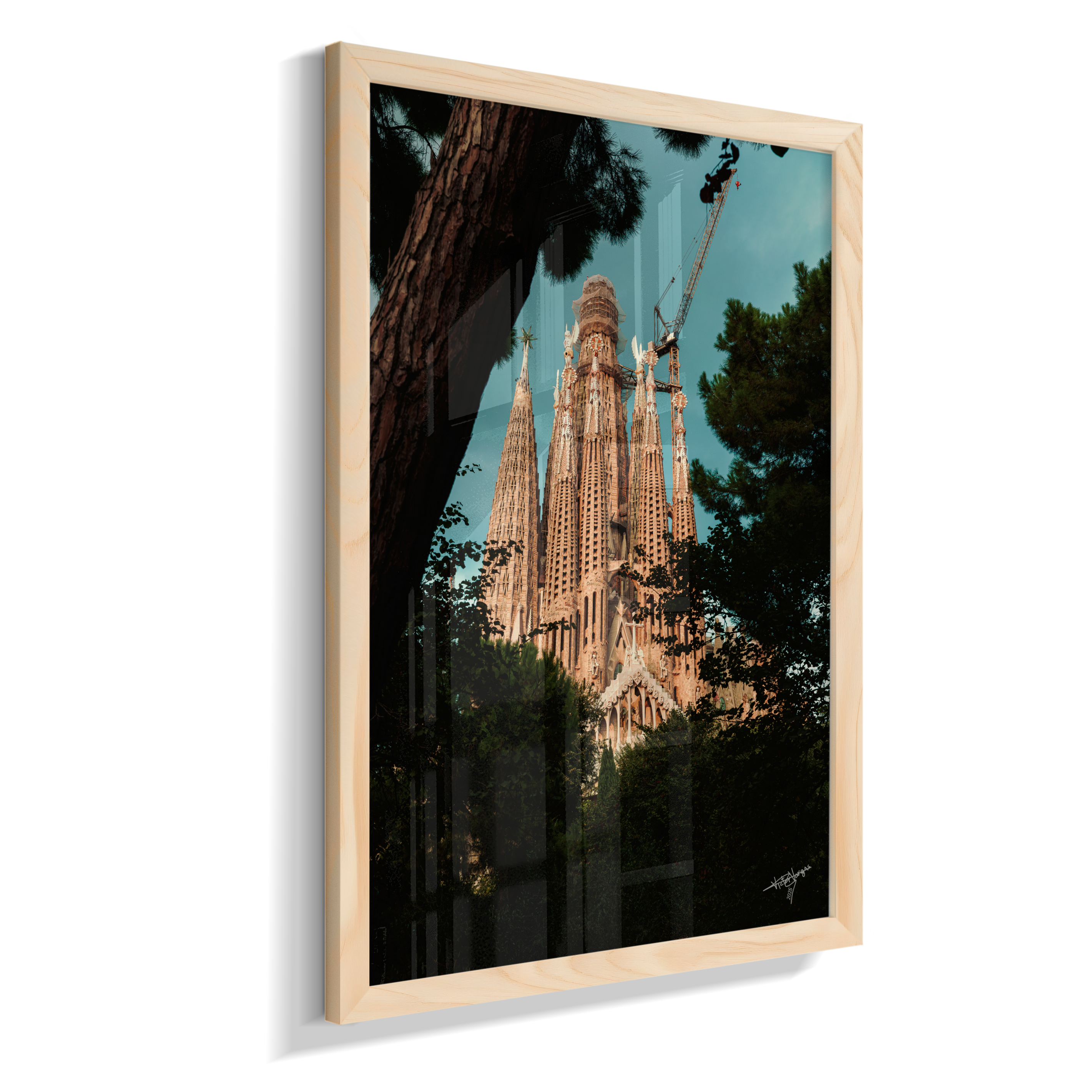 Through the Pines