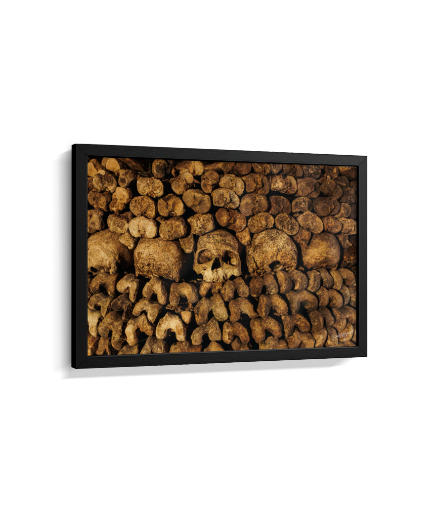 Among the Bones