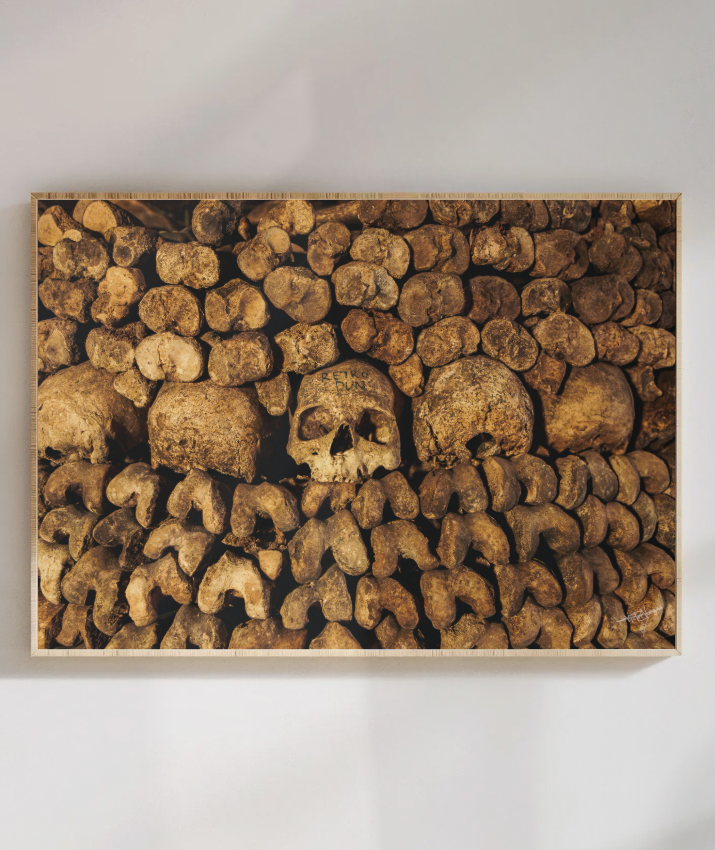 Among the Bones