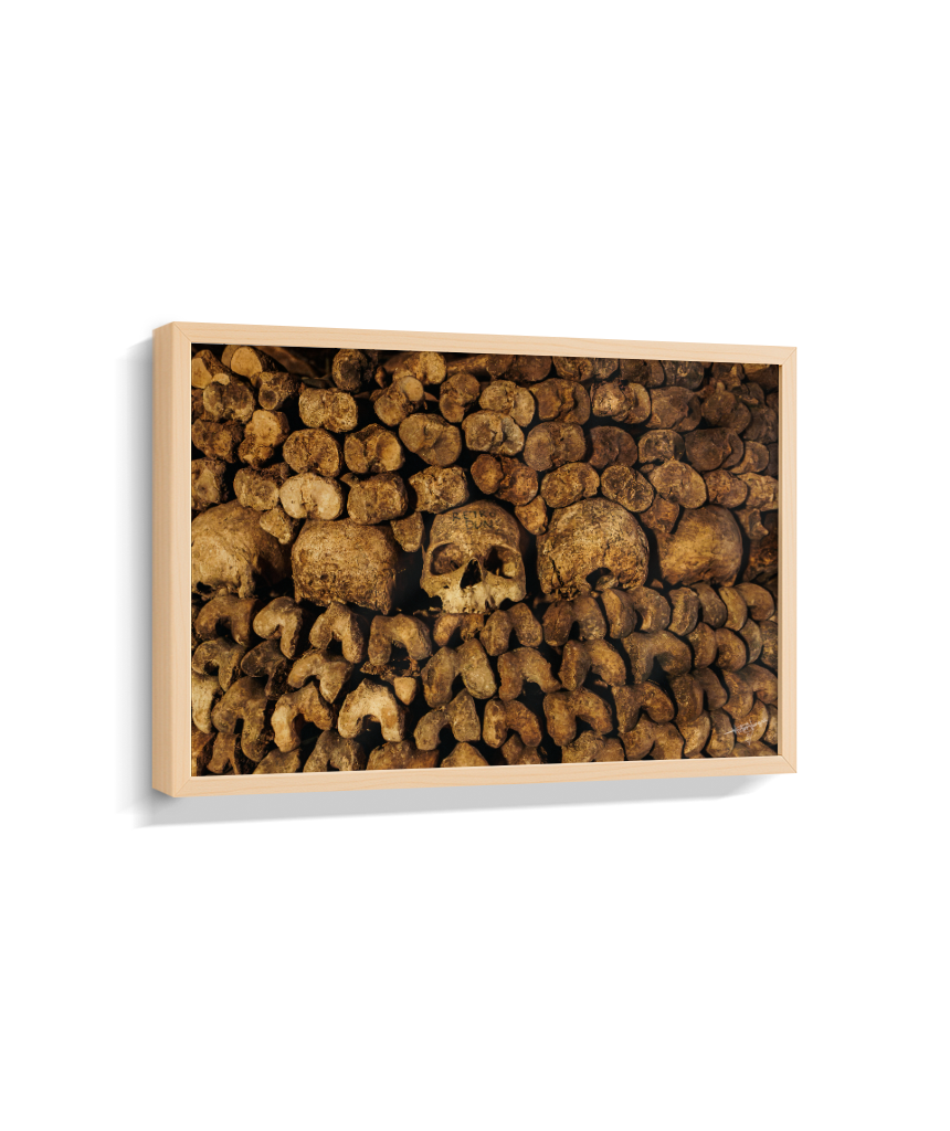 Among the Bones