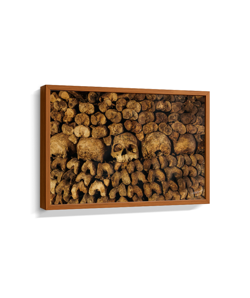 Among the Bones