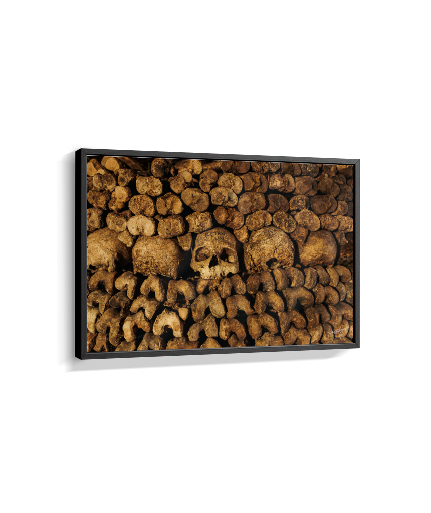 Among the Bones