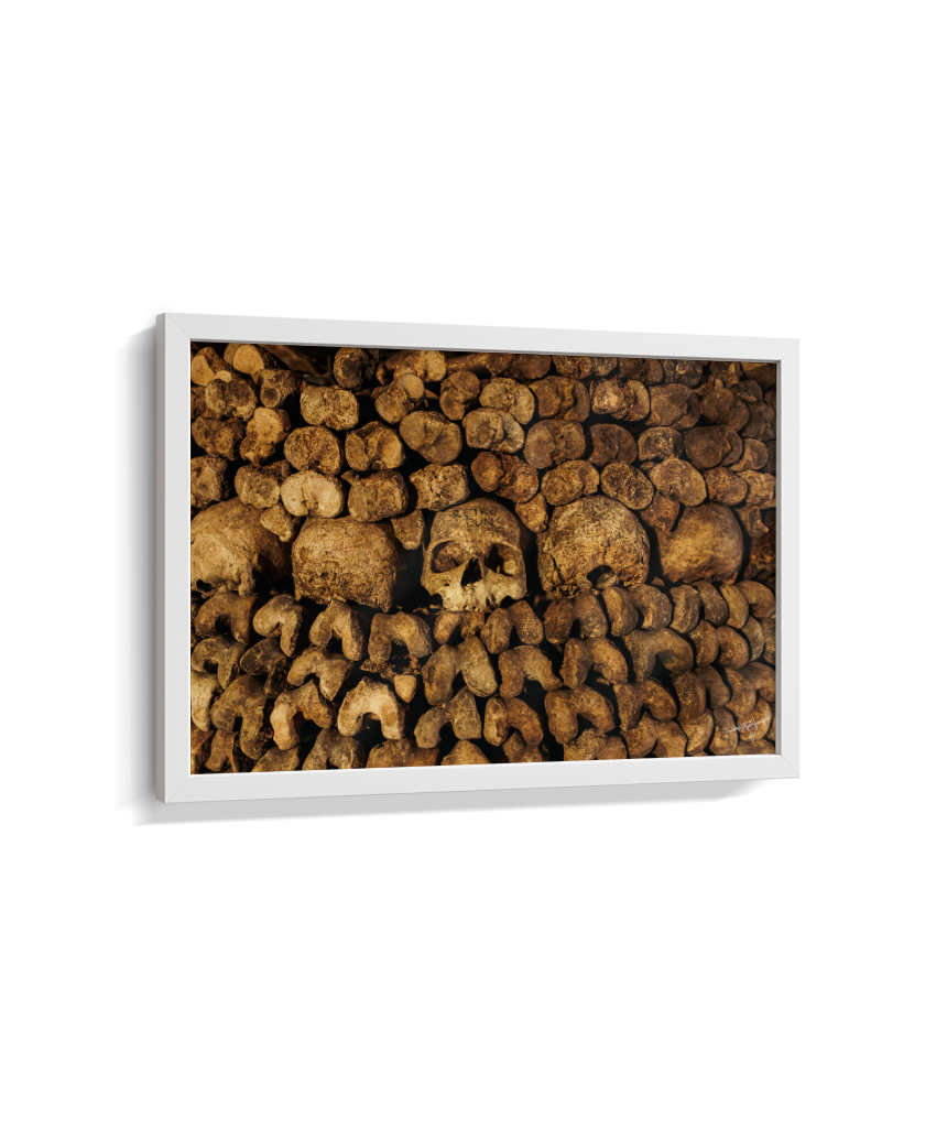 Among the Bones