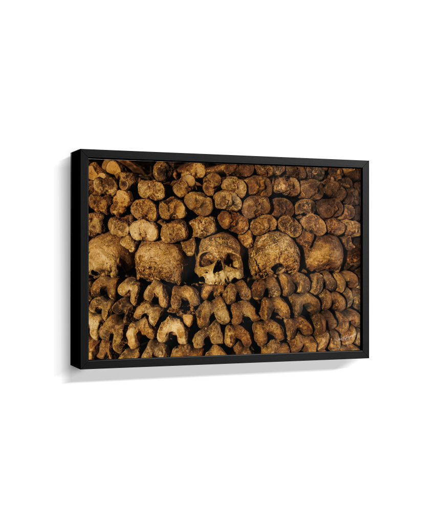 Among the Bones