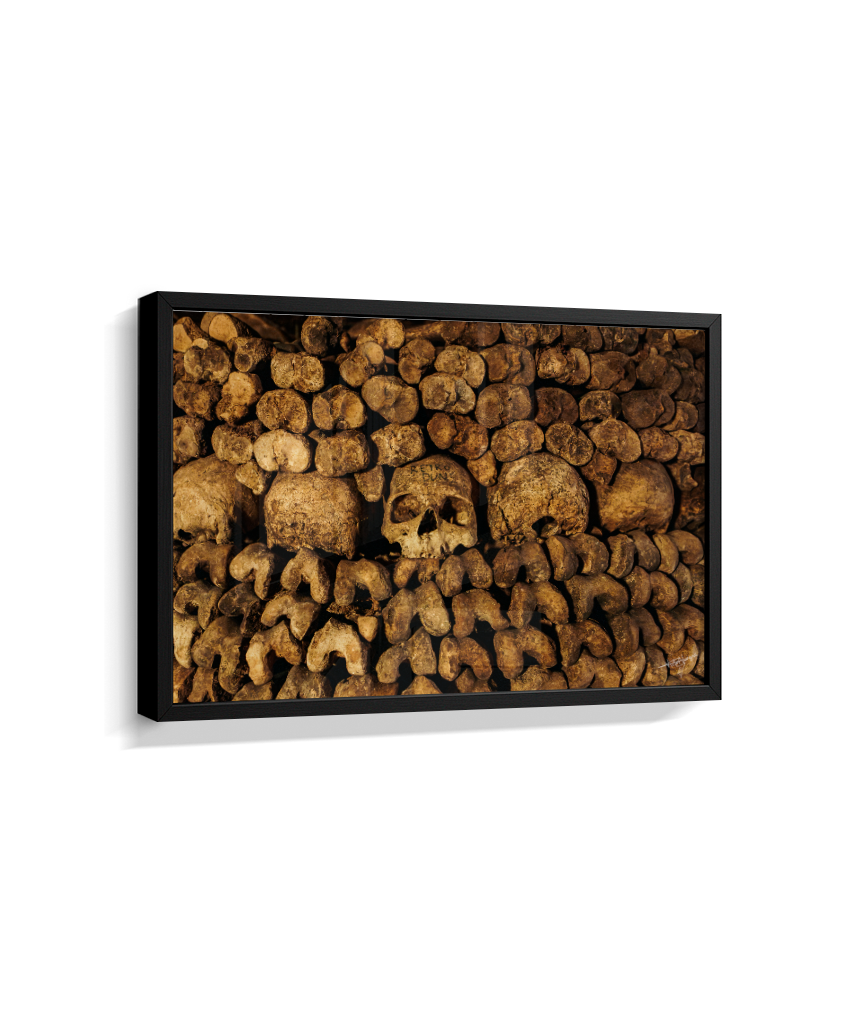 Among the Bones