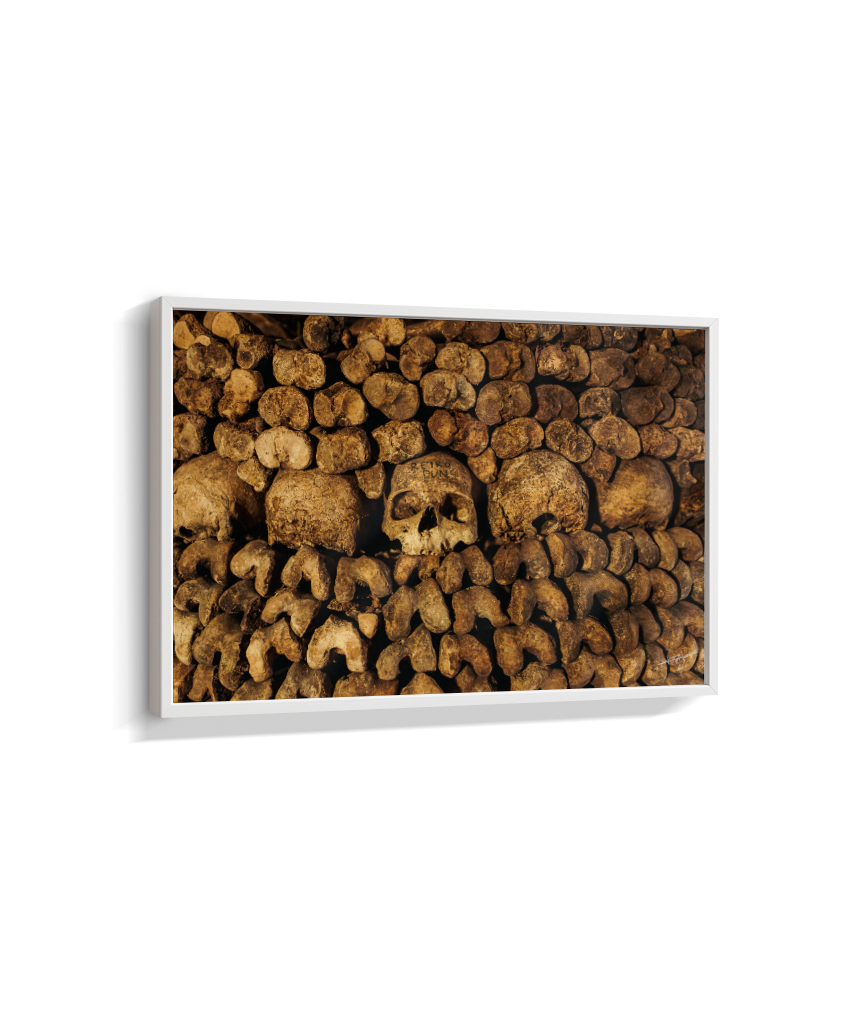 Among the Bones