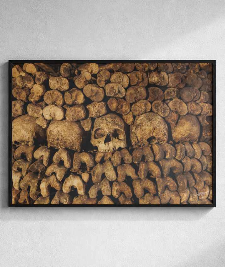 Among the Bones