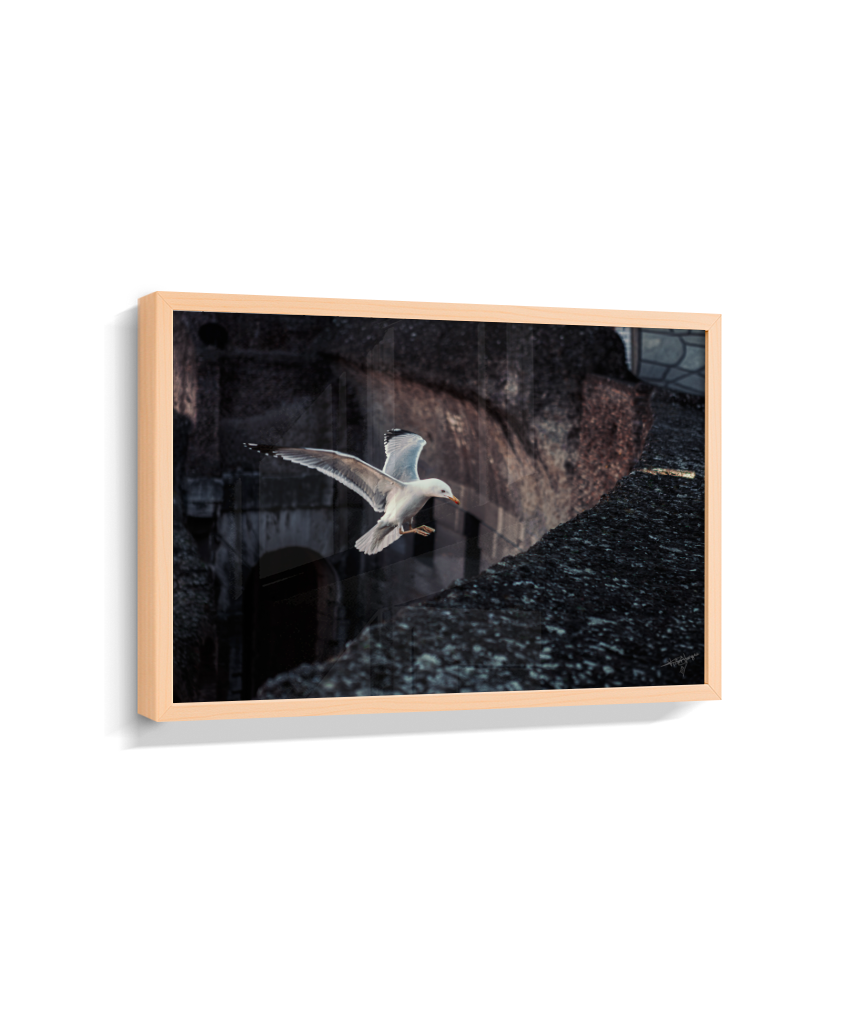 Ruins in Flight