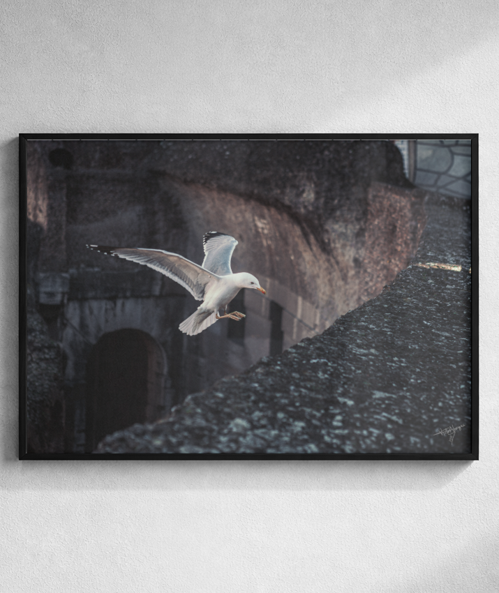 Ruins in Flight