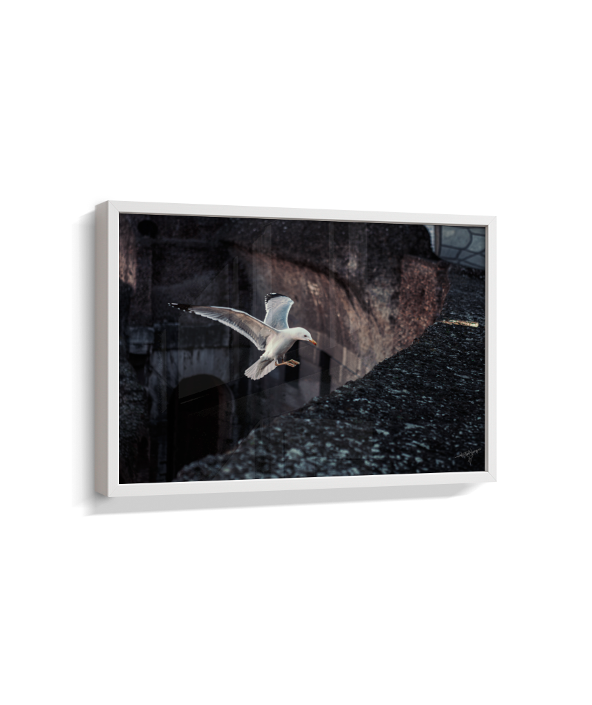 Ruins in Flight