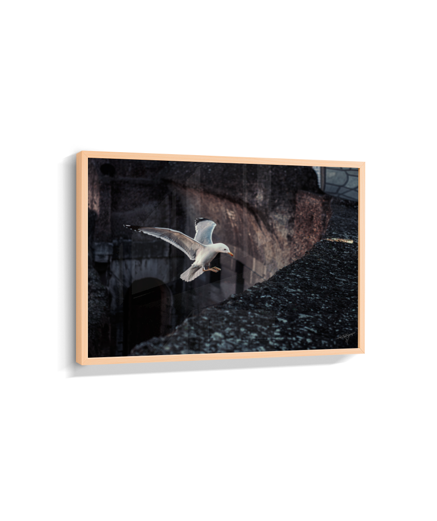Ruins in Flight