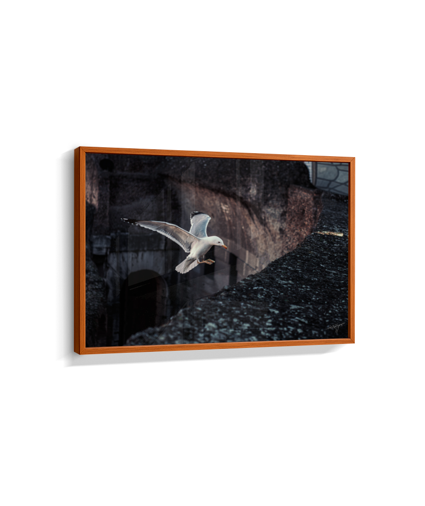 Ruins in Flight
