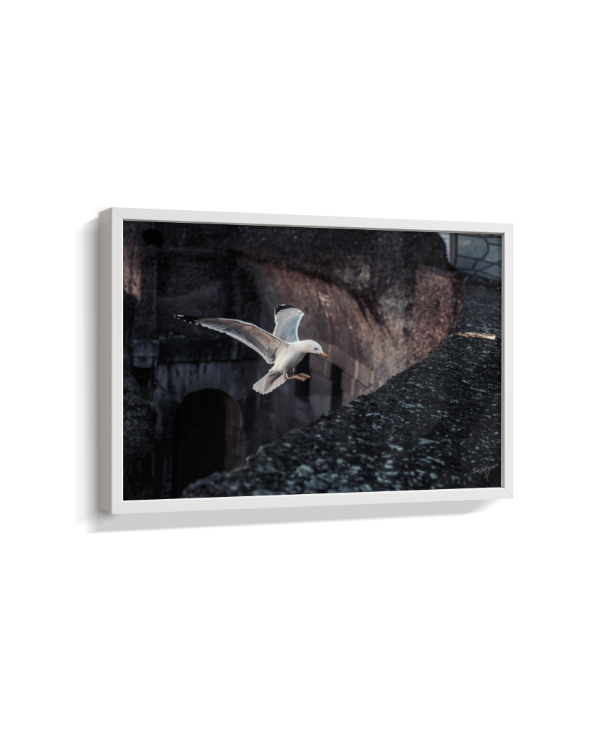 Ruins in Flight