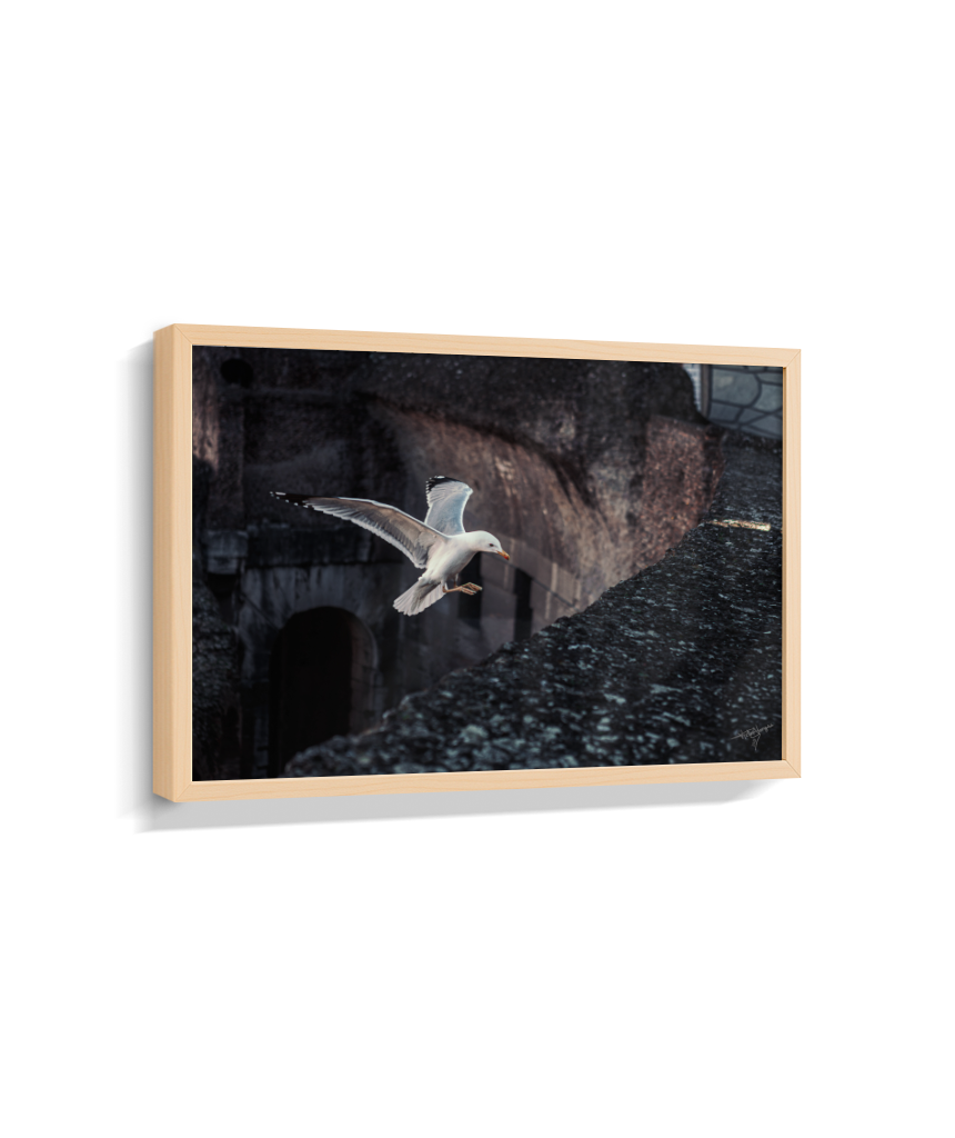 Ruins in Flight