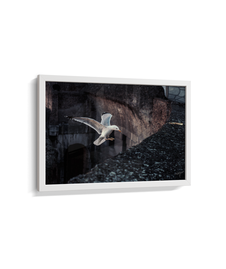 Ruins in Flight