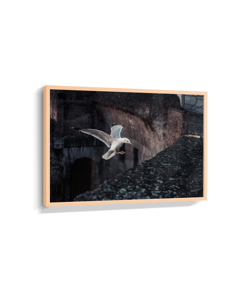 Ruins in Flight