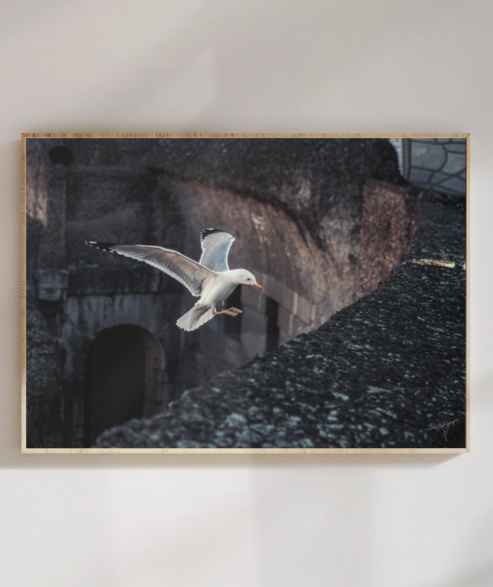 Ruins in Flight