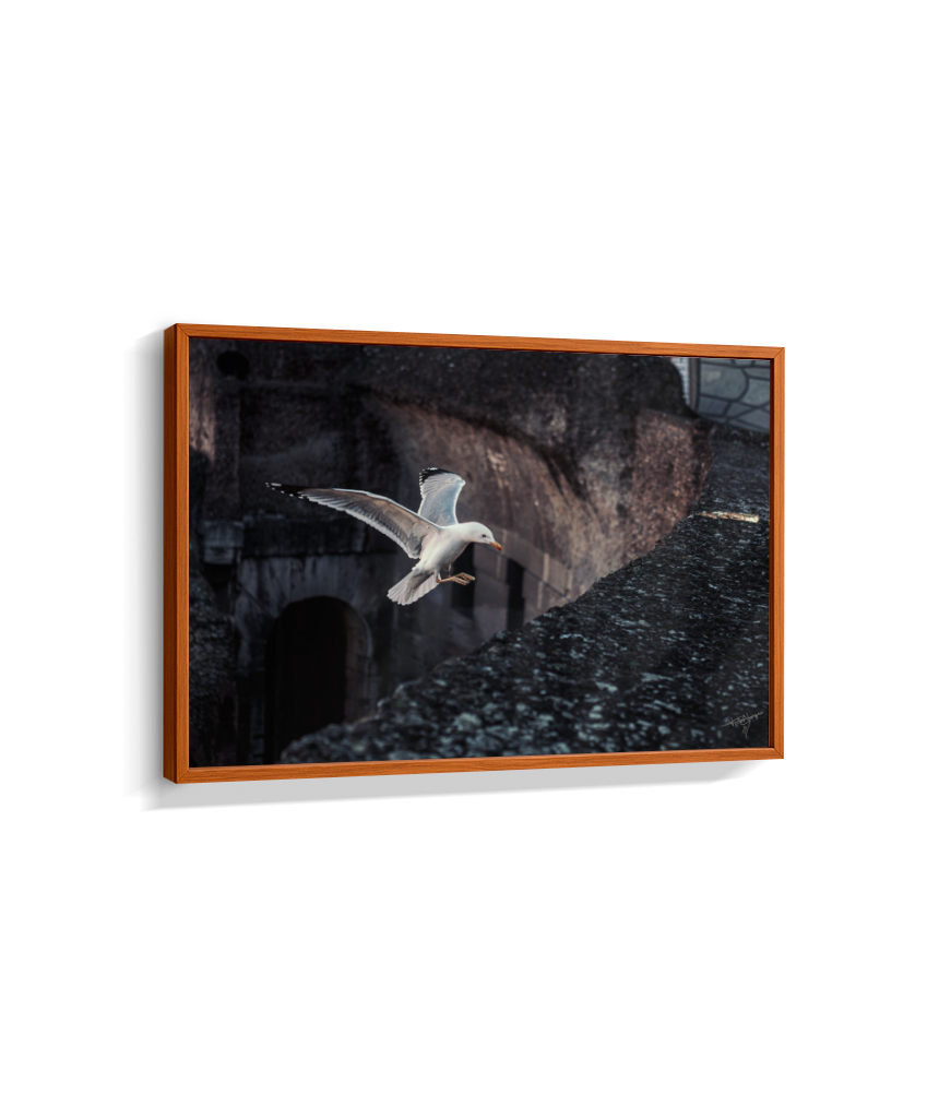 Ruins in Flight