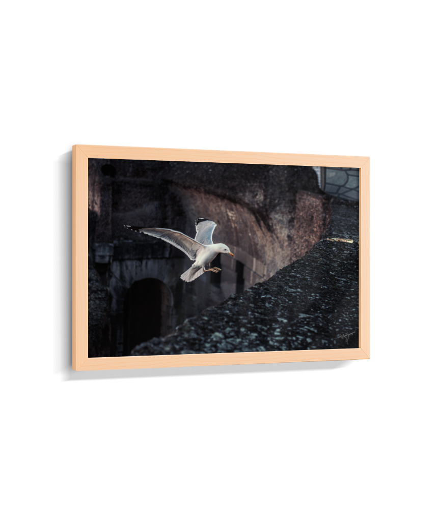 Ruins in Flight