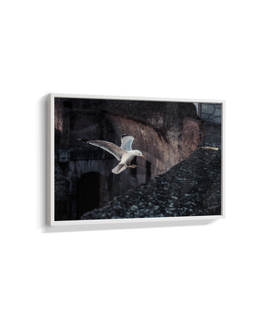 Ruins in Flight