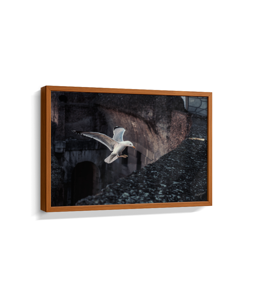 Ruins in Flight