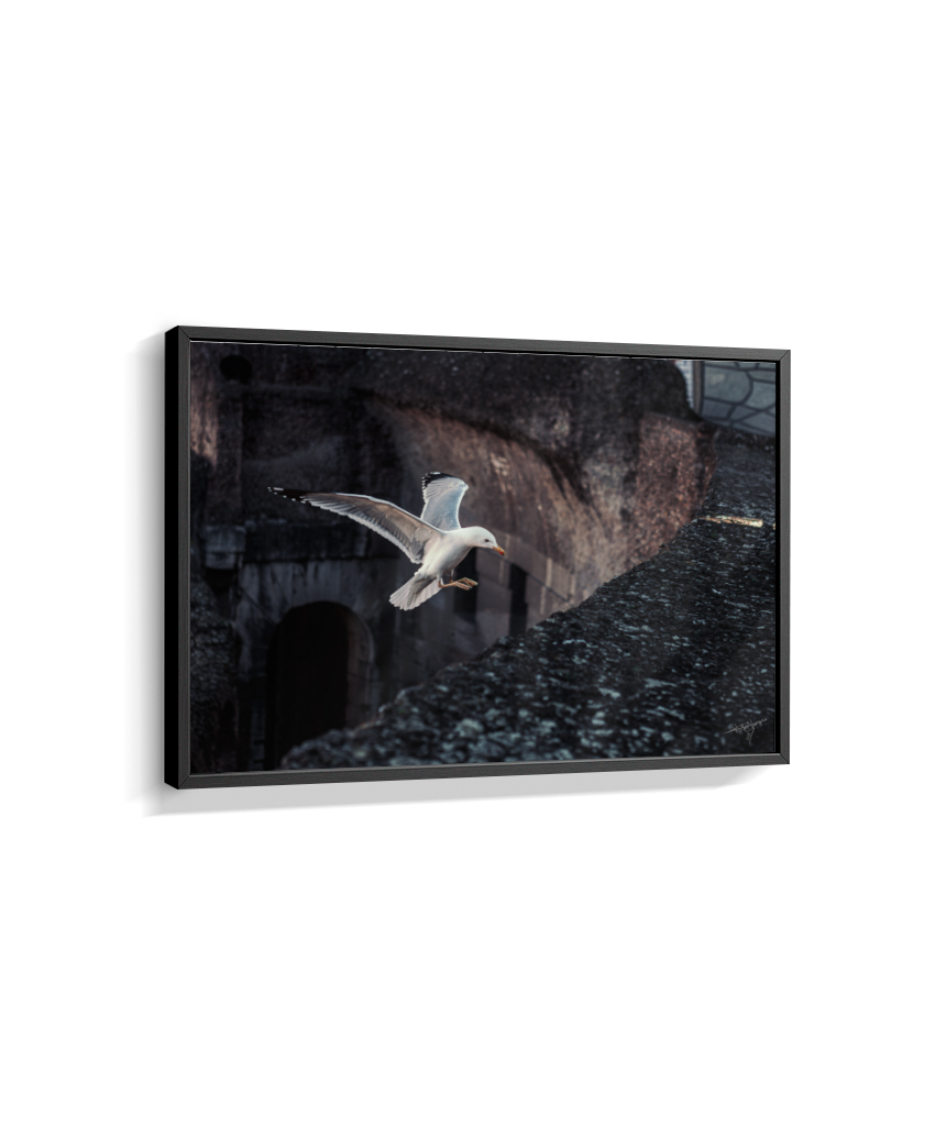 Ruins in Flight