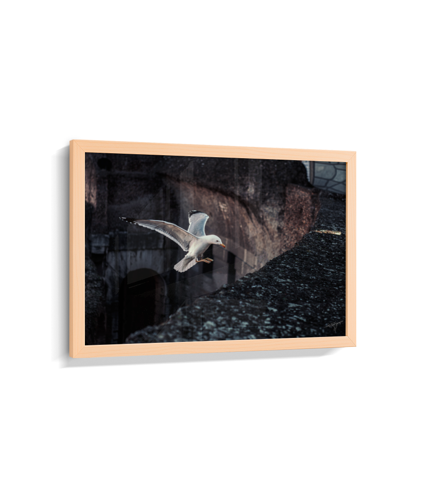 Ruins in Flight