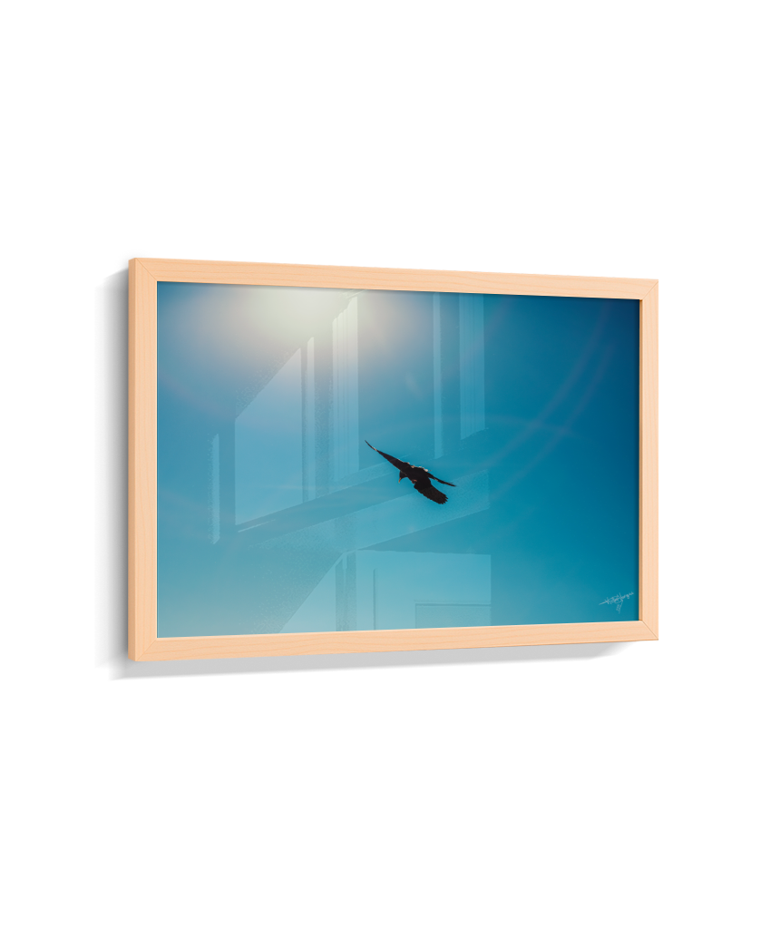 Wings in Blue