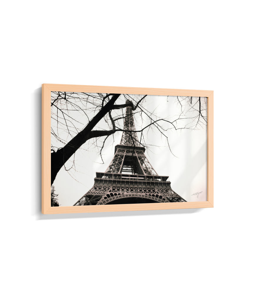 Eiffel Through Winter