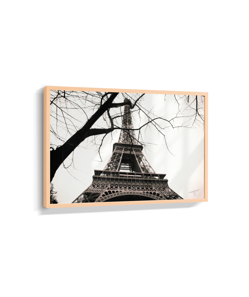 Eiffel Through Winter