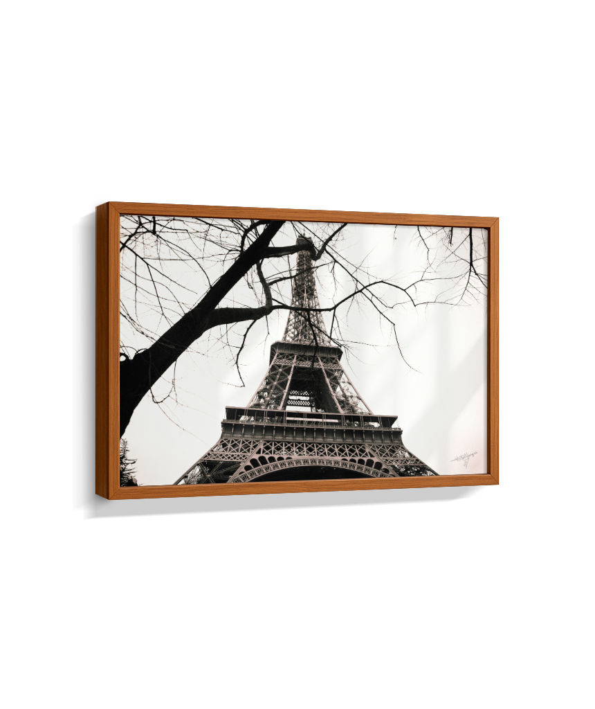 Eiffel Through Winter