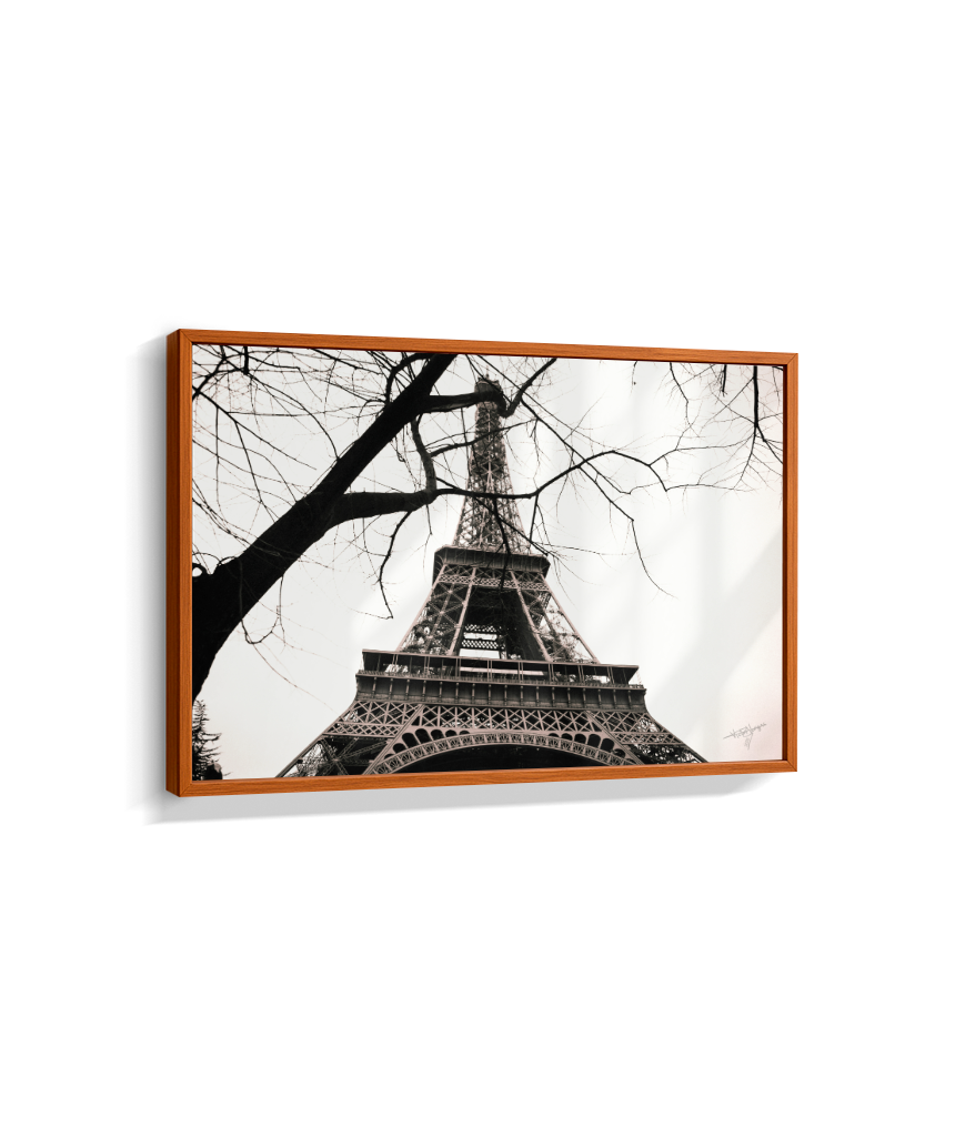 Eiffel Through Winter