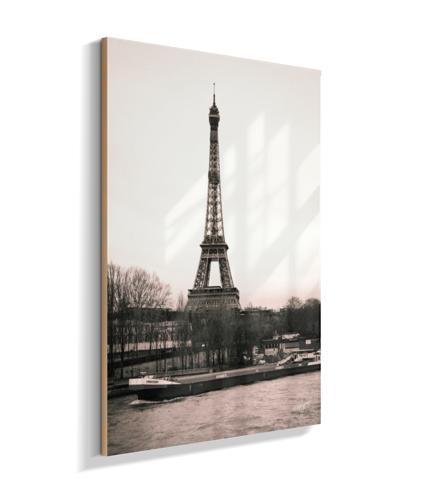 Old Paris Dream