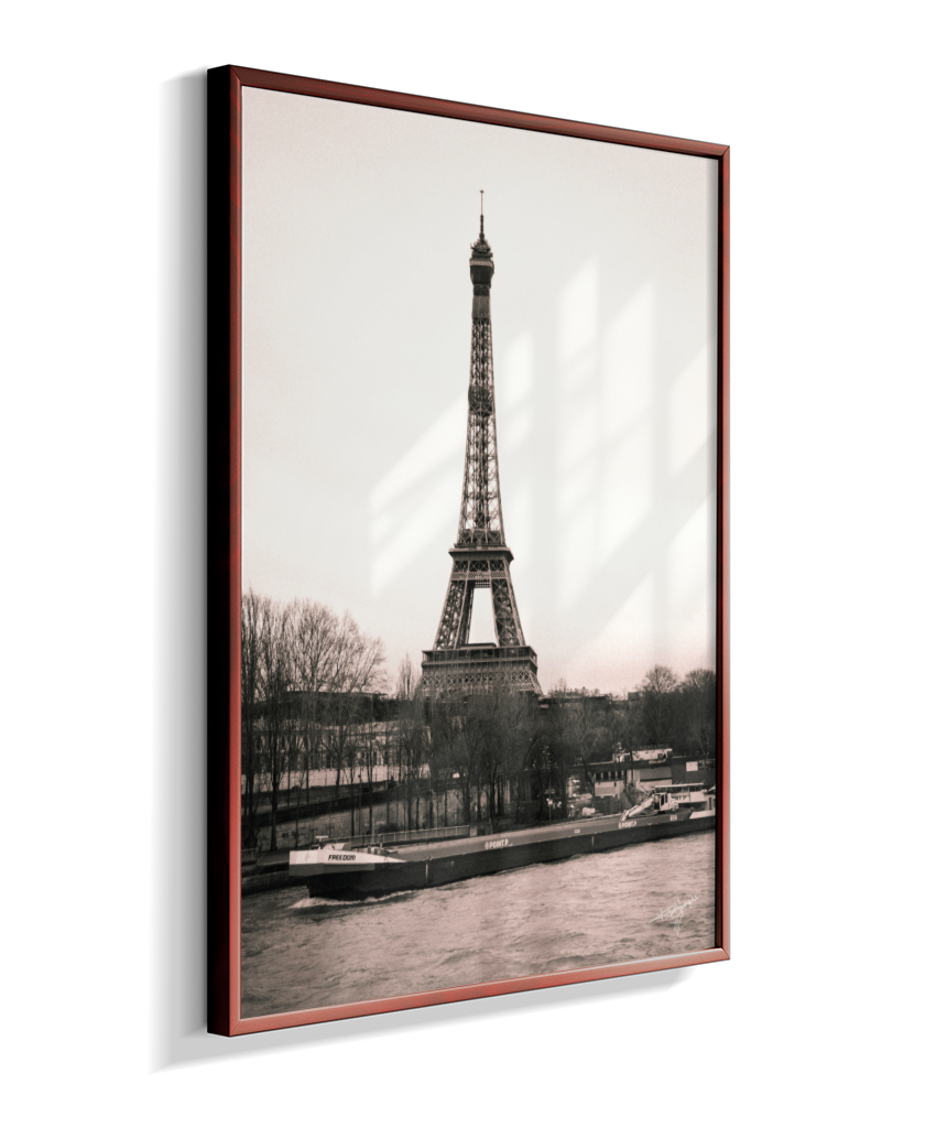 Old Paris Dream